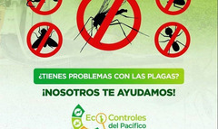 Control de plagas, cucarachas, roedores etc. - 2